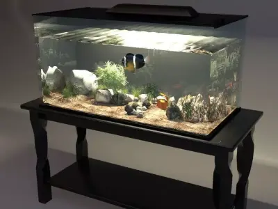 Aquarium fish tank on table 3D model