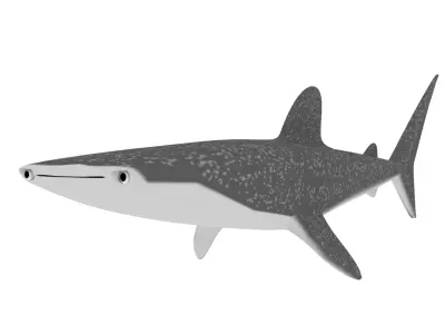 Rigged Low Poly Whale Shark for Blender Free 3D model