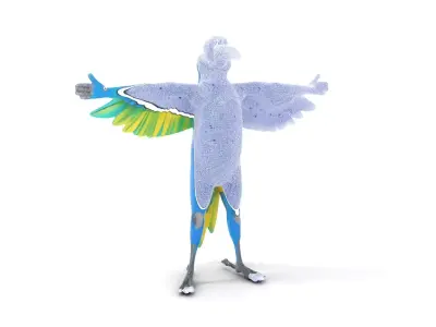 Cartoon Parrot Character Model Pack Low-poly 3D model