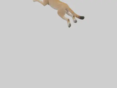 Lynx jumping model Low-poly 3D model