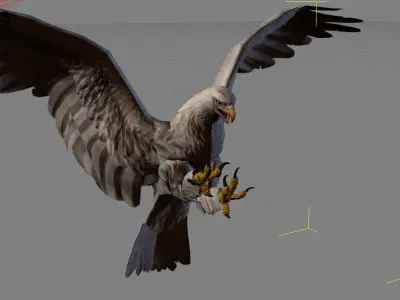 Eagle animal Low-poly 3D model