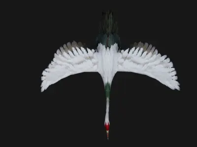 Pack-01-Bird Family 3D model