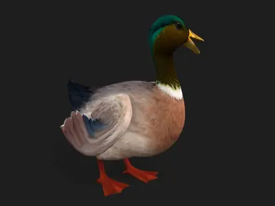 Duck A3 3D model