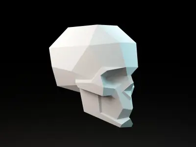 Skull 3D model buy