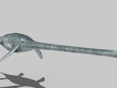 Real Plesiosaur Elasmosaur - 8K 3D model