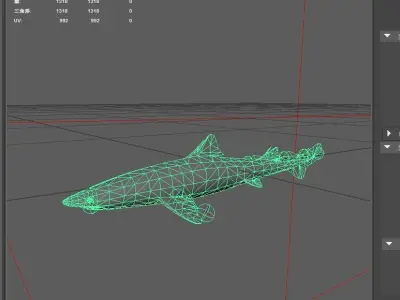 Shark Low-poly 3D model 35