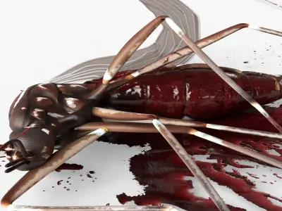  Smashed Mosquito Pest Blood For Blender 
