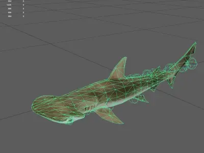 Shark Low-poly 3D model 11