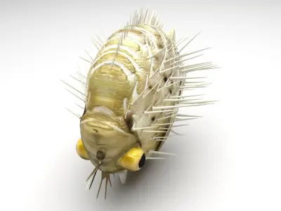 Blowfish 3D model purchase