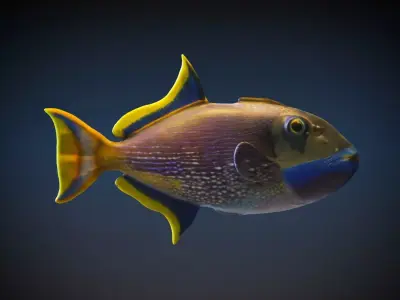 Blue Throat Trigger 3D model purchase