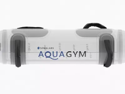 Aqua Bag 3D model