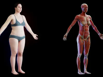 Human Complete Anatomy Obese Female 3D model