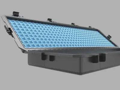 Gun Case 3D model