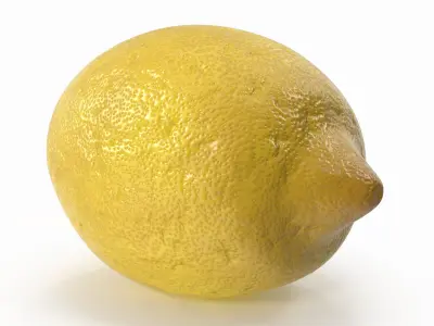 Lemon  purchase 3D model