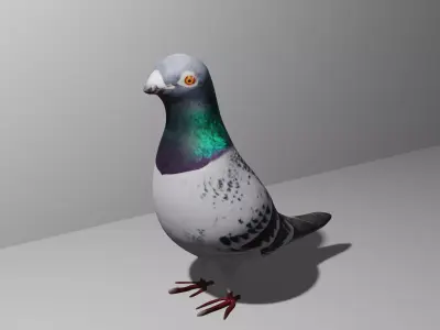 Pigeon Obj and Blend Low-poly 3D model