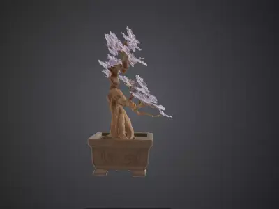 Japanese Zen Bonsai Tree with Purple Flowers Botanical Designs  Low-poly 3D model