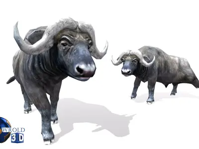Buffalo rigged animated lowpoly 3d model Low-poly 3D model