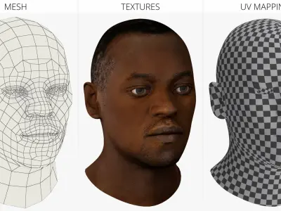 Adult African Male Head 3D model