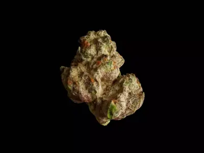 Realistic Cannabis Bud 02 3D model