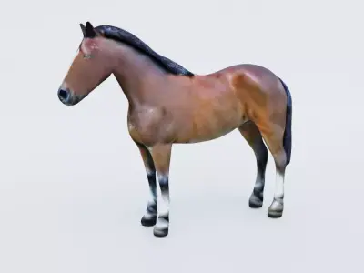Horse Free 3D model purchase