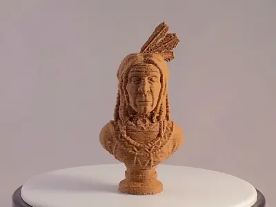 LAKOTA indian bust 3D print model