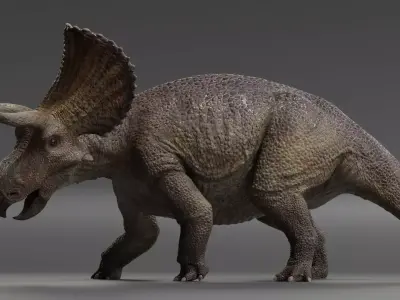 Triceratops Low-poly 3D model 2
