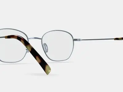 Robbie Eyeglasses in Antique Silver 3D model