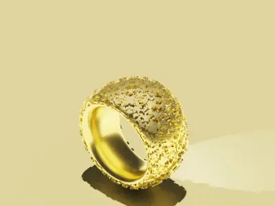 Big  Ring 3D Print Model 13 mm width 3D print model
