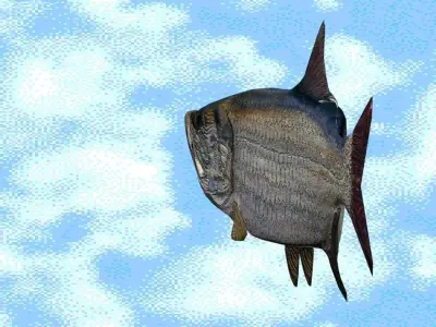 tarpon fish flying in sky 3D model