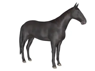 Black Horse Low-poly 3D model