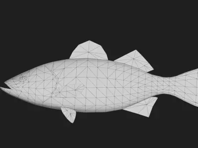 Stripedbass Low-poly 3D model