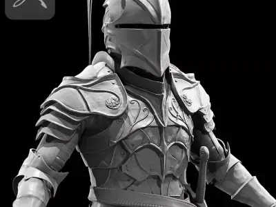 Dragon Fantasy Knight 3D model