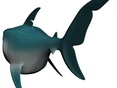 Cartoon Shark Rigged Low-poly 3D model