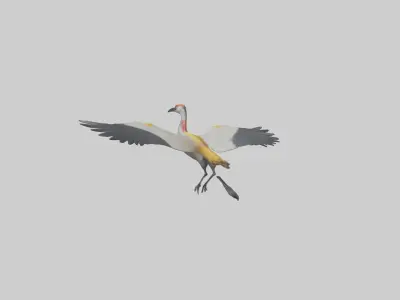 Crane flying model 3D model