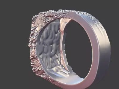 MADE TO FAIL Rough Stone Texture Band Ring Silver Jewelry 3D print model