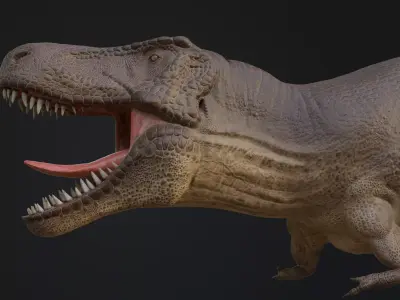 Tyrannosaurus rex Low-poly 3D model 19