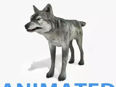 wolf redy games Low-poly 3D model