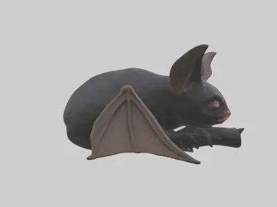 Sleeping Bat Model Low-poly 3D model