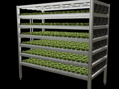 Vertical farm hydroponic 3D model