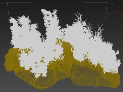 Coral reef ecosystem Animated 3D model
