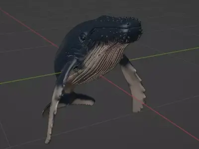 Realistic Humpback Whale Low-poly 3D model