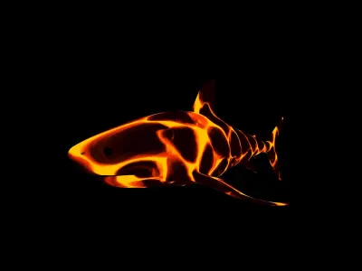 Shark Low-poly 3D model 6