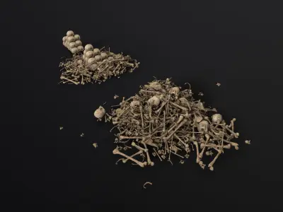 Broken Skulls with Spider Webs COLLECTION Low-poly 3D model