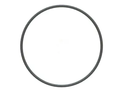 O Ring Vedabras 12345 3D model