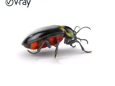 D Beetle Model Pack  High Detail Arthropod Low-poly 3D model