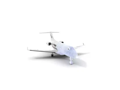 Luxury Private Business Jet Model Pack Low-poly 3D model