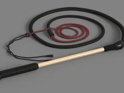 Historical Leather Whip Coiled Black 3D model