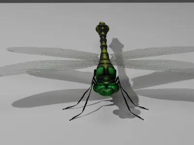 Foring dragonfly Low-poly 3D model