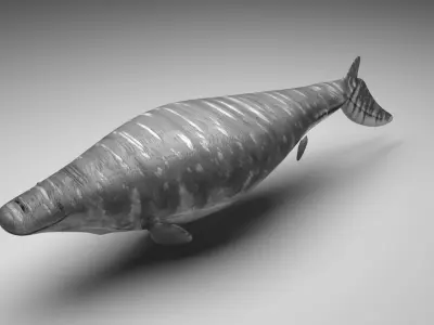 Mosasaurus 3D model purchase