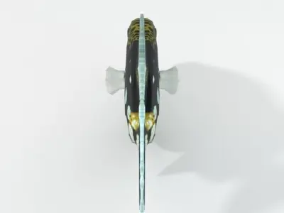 Clown Crossbow Fish Low-poly 3D model